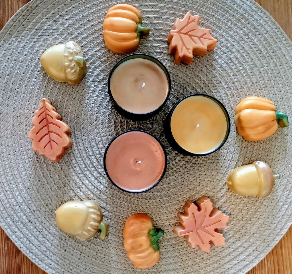 Créations de bougies et fondants parfumées éco-responsables sur le thème de la nature.