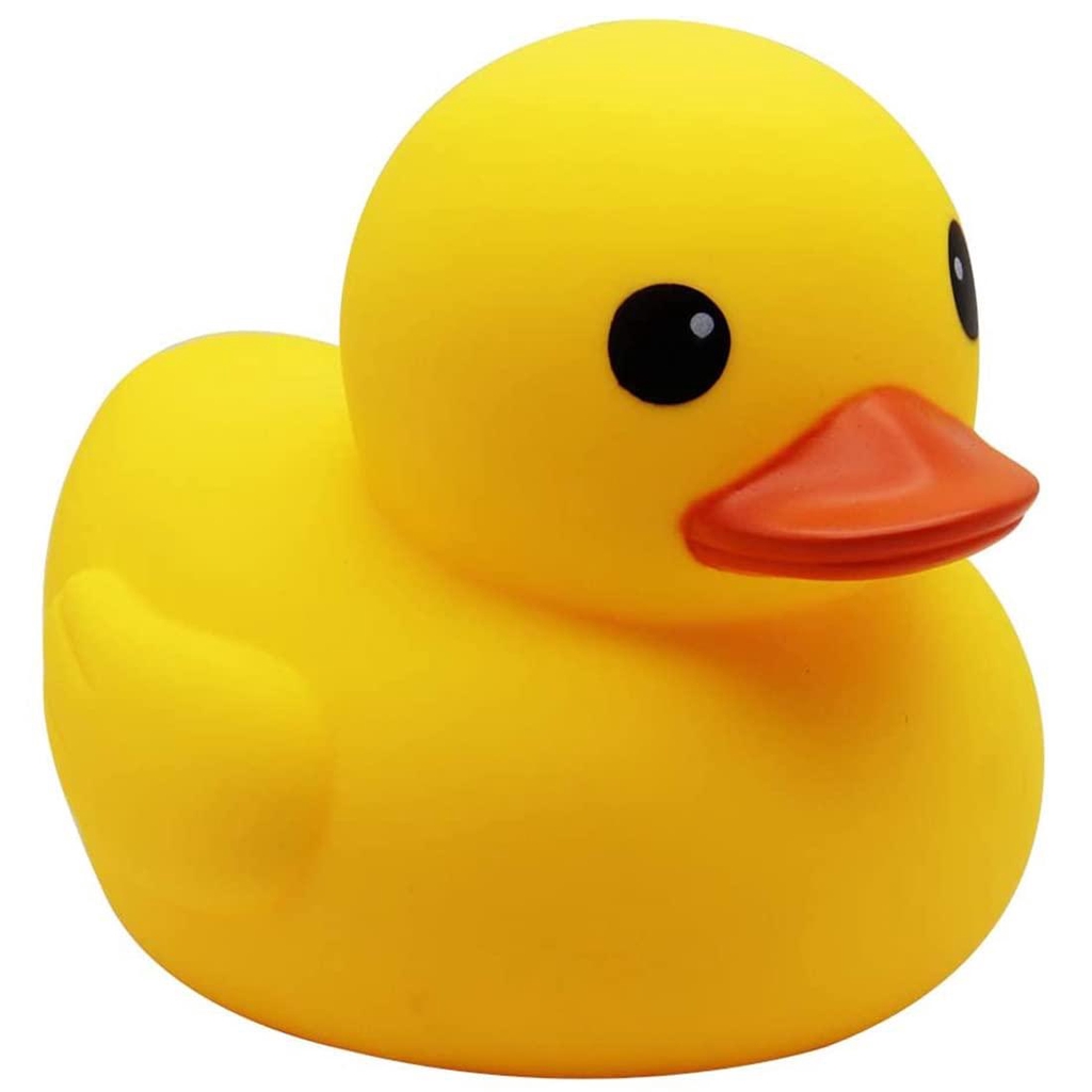 Langford Duck Race 2026