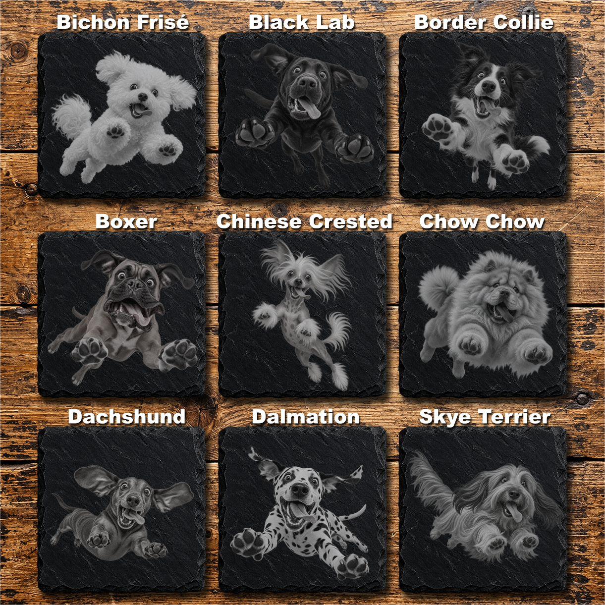 Laser engraved dog breed slate coasters featuring Bichon Frise, Black Labrador and Border Collie designs