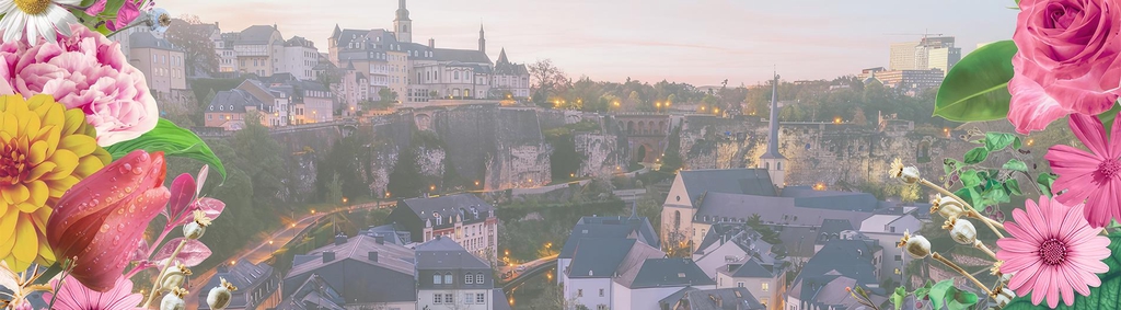 Come and enjoy the performance

122 top skaters
23 countries represented 
