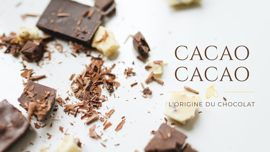 Chocolats Bean-To-Bar 