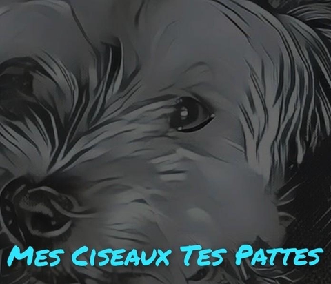 store_logo