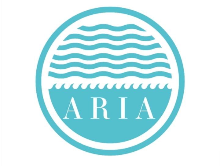Aria Art and Movement 