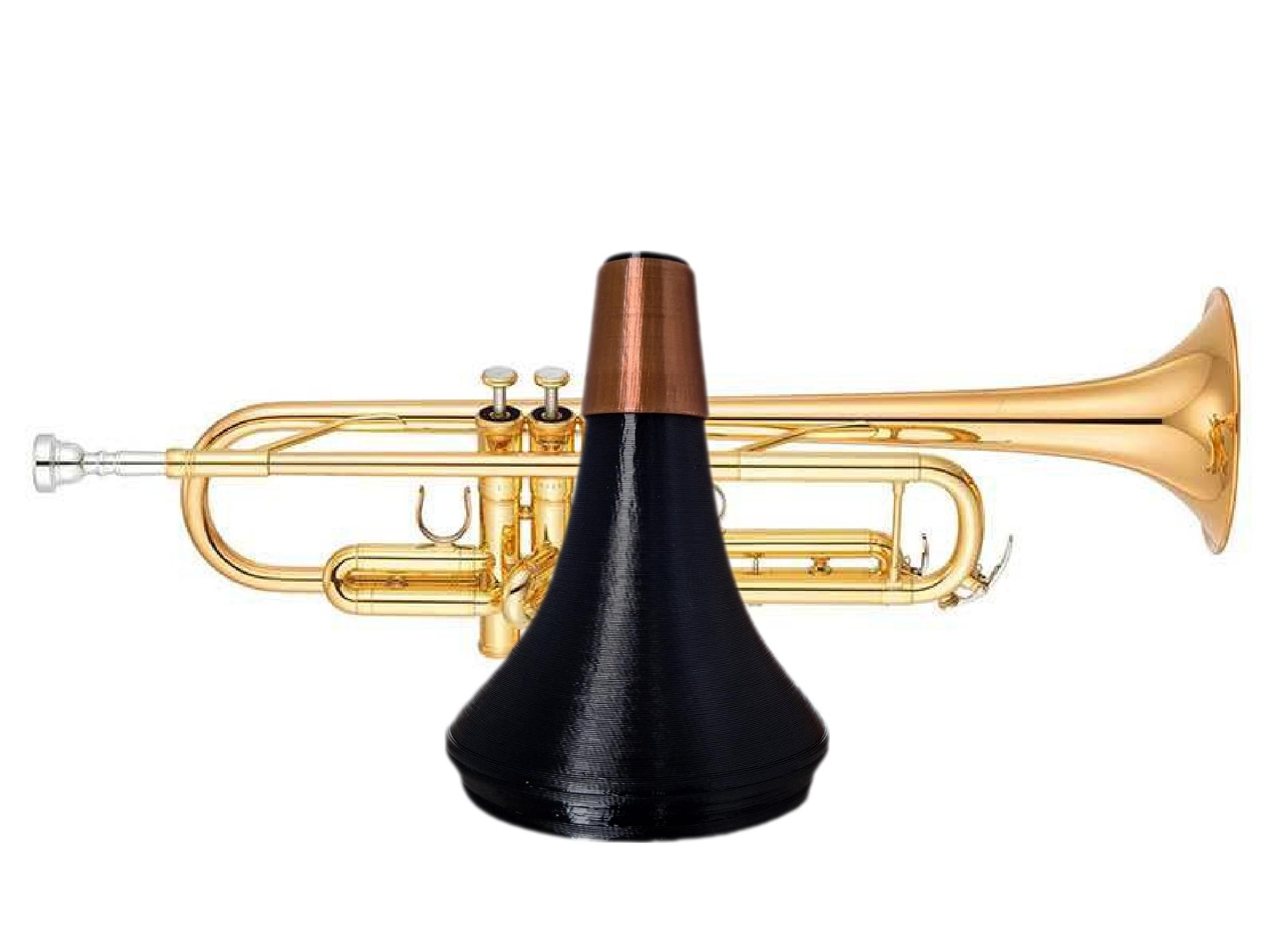 Trumpet Mutes