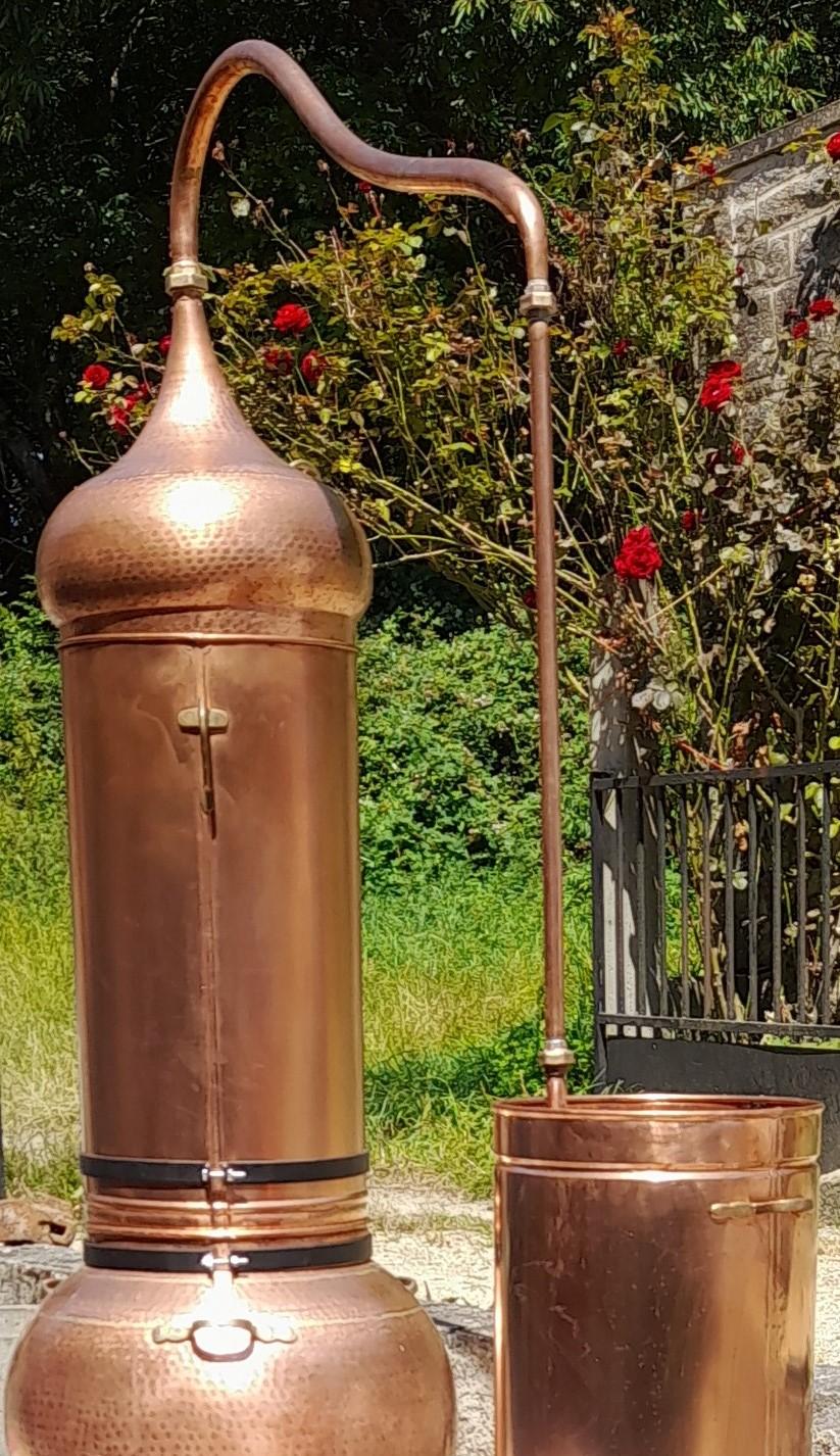 De la graine au flacon