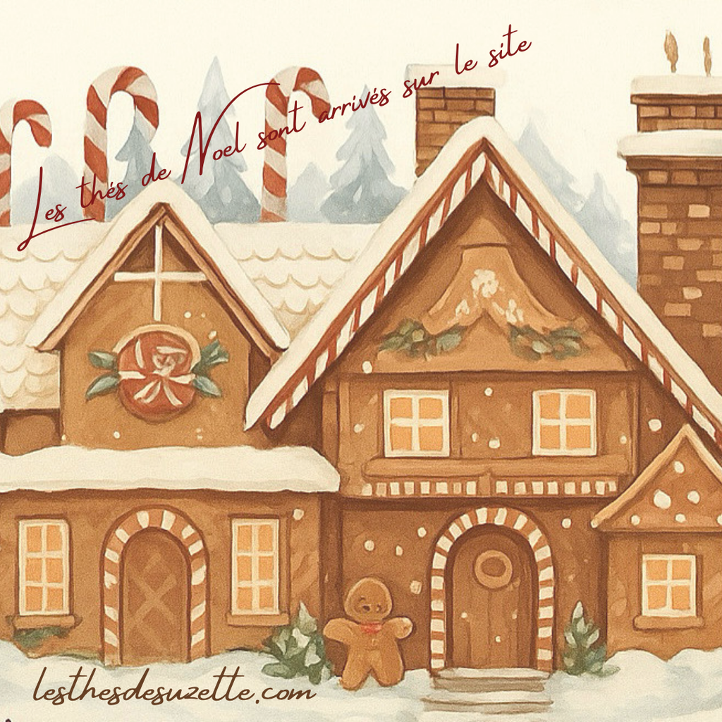 Les thés de Noël sont arrivés!!!!! 
14 Thés, infusions et rooibos tous plus gourmands et plus festifs les uns que les autres pour un Noël cocooning. thé vert thé noir thé blanc rooibos infusion tea lover