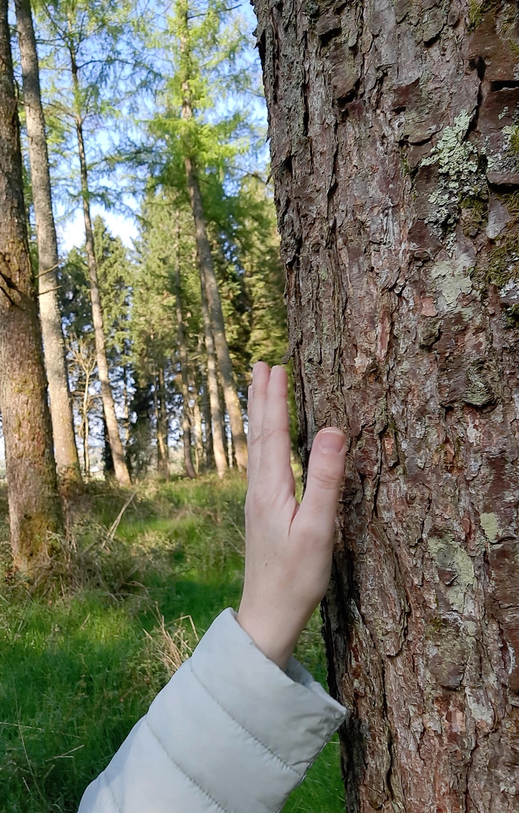 Cloda Bella Bees
'Nature Heals & Lifts Us Up'
Blessington Co Wicklow, EIRE