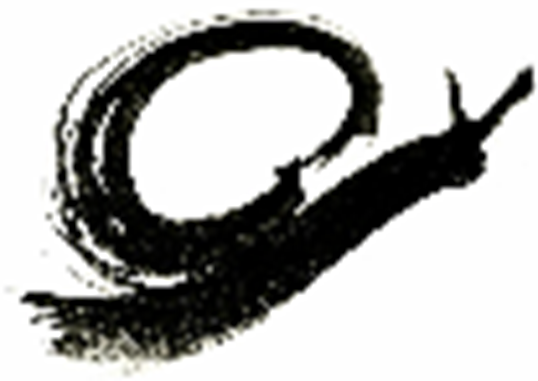 store_logo