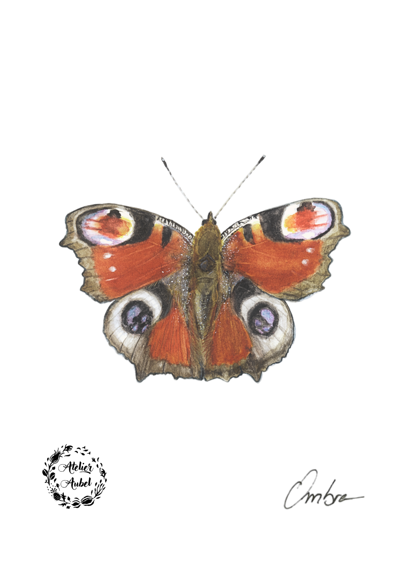 Papillons