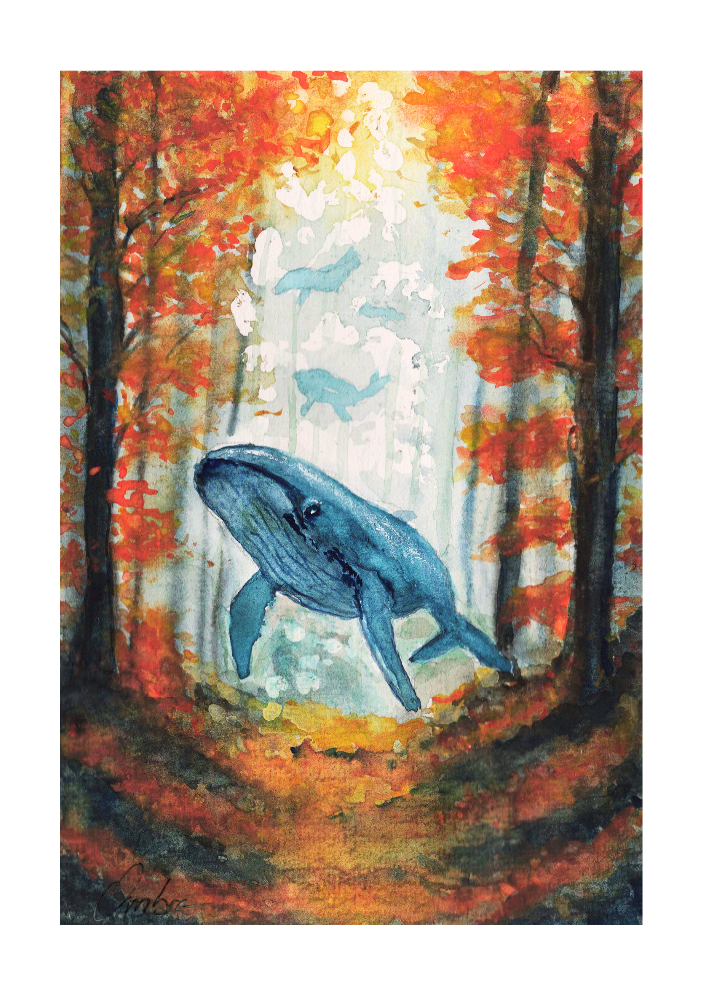 Paysages et Animaux