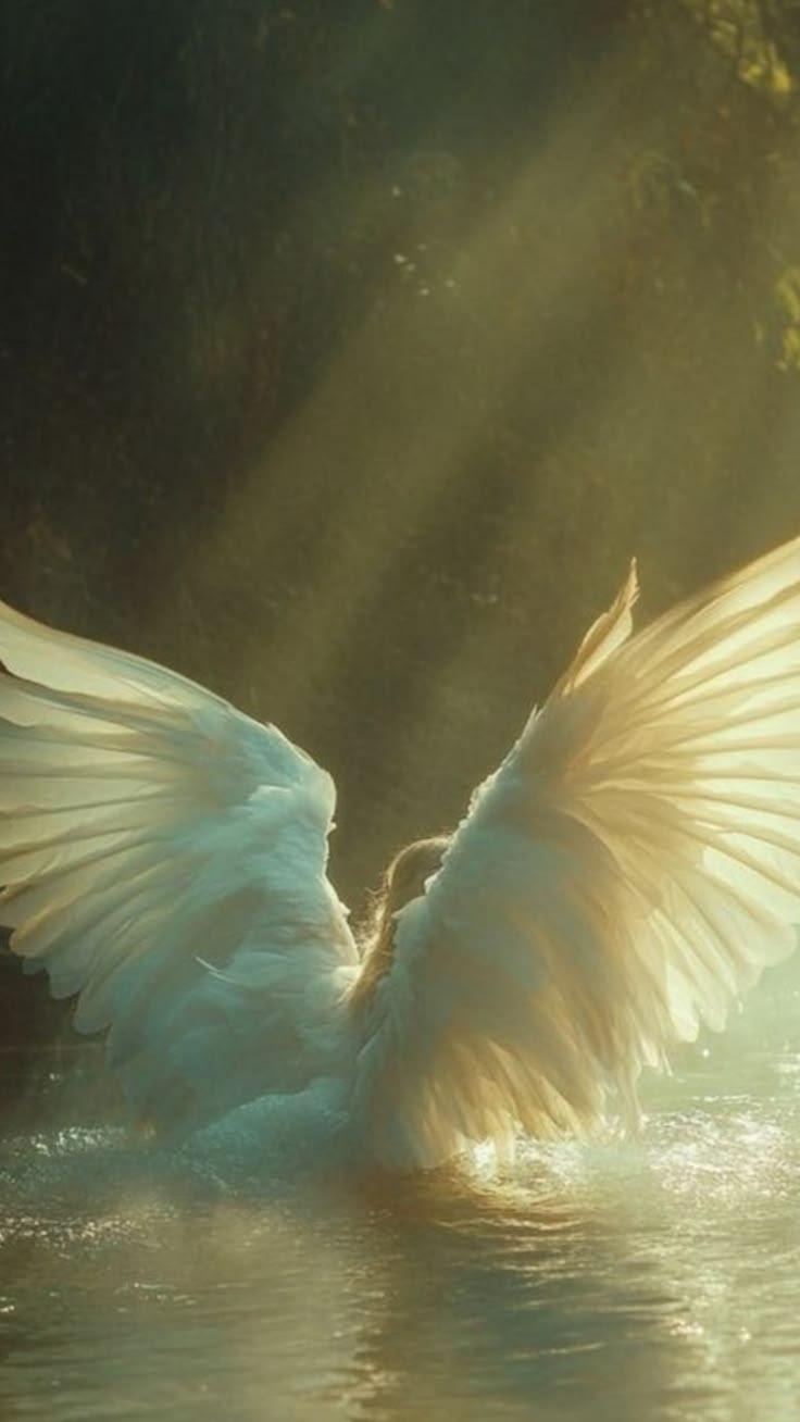 NEPHILIM