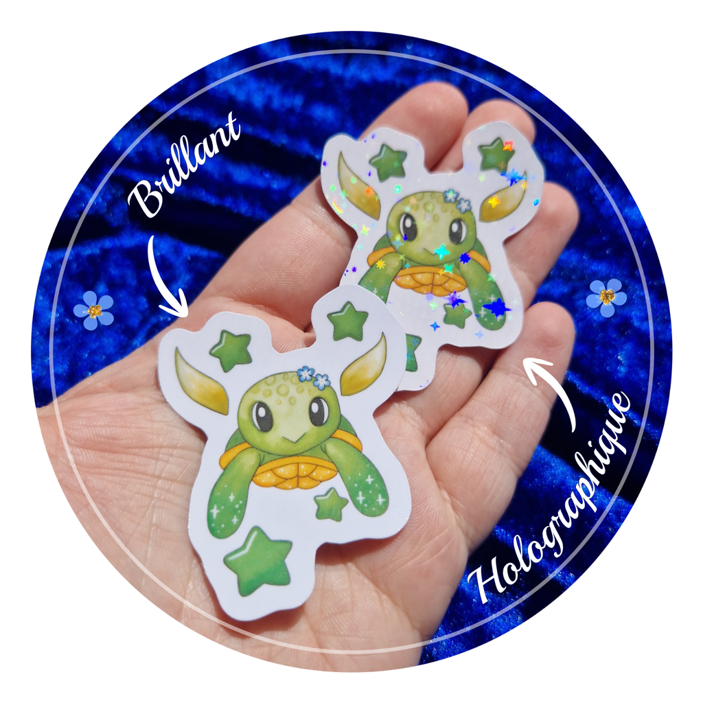 Zoom sur les deux options possibles de stickers tortue stellaire : tous les stickers ont l'option "brillant" ou "holographique".