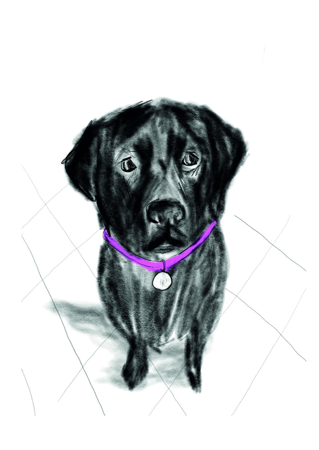 Prints, originals, postals
