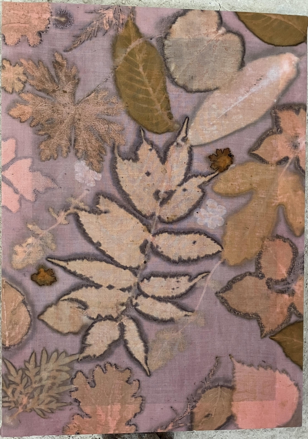 product_list_image_cover