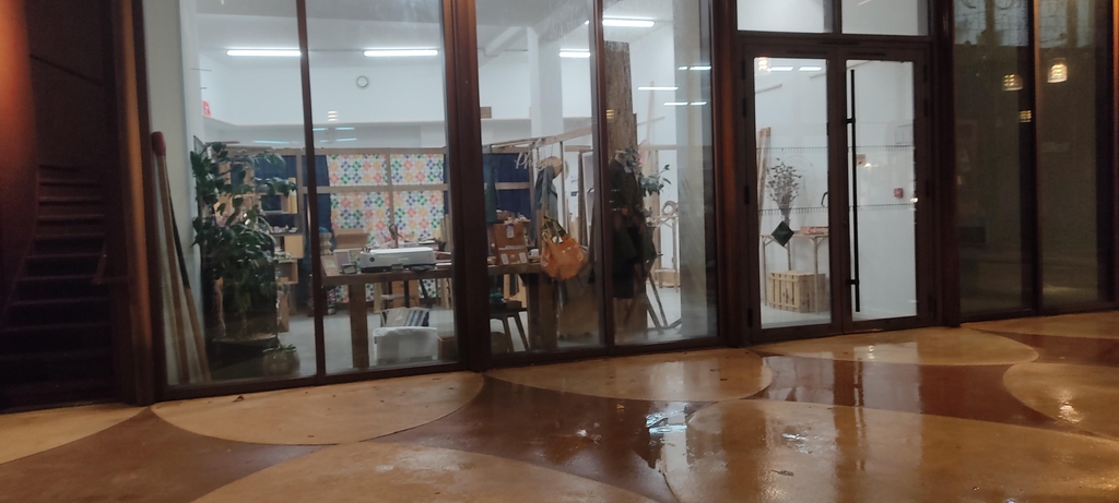Photo de la vitrine de la boutique du Phasme passage Carnot à Pau, soir pluie 
