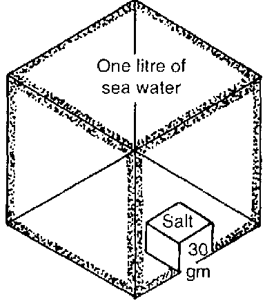 Why Does Sea Salt Sometimes Feel Damp?