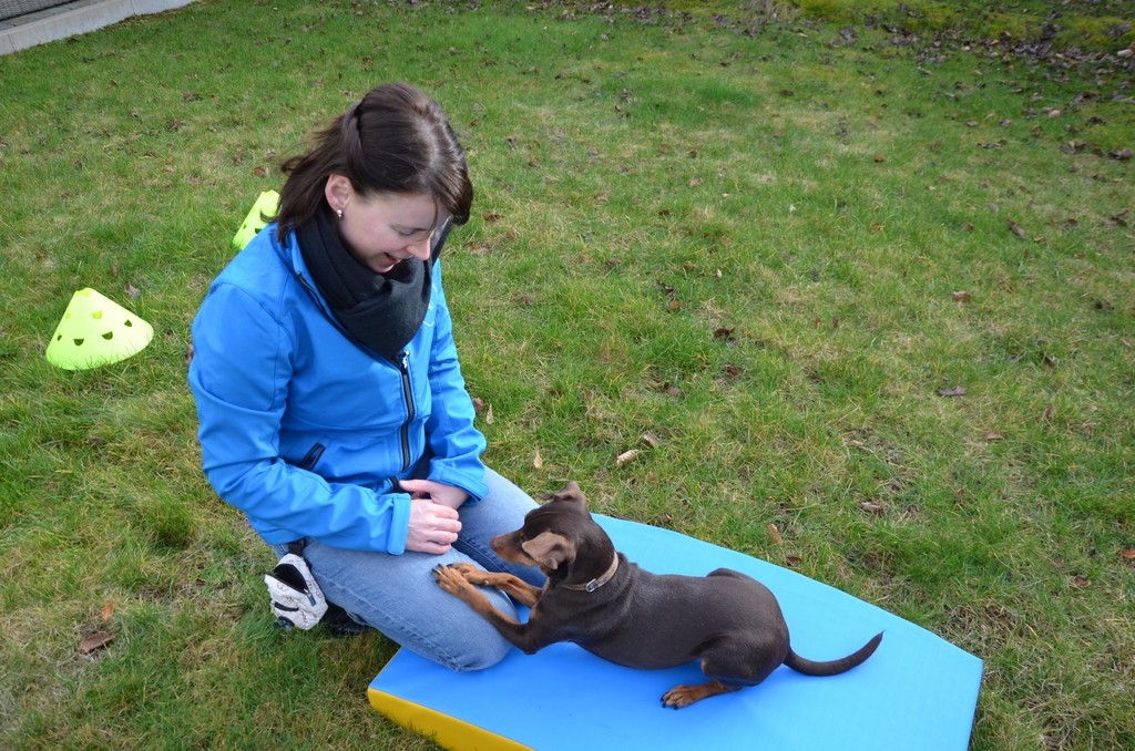 Hondenschool Keerbergen lesjes