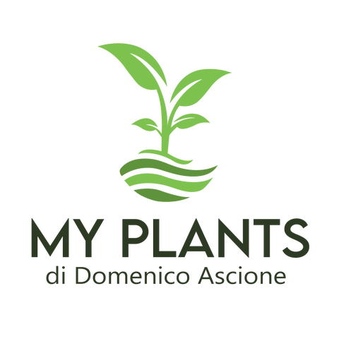 store_logo