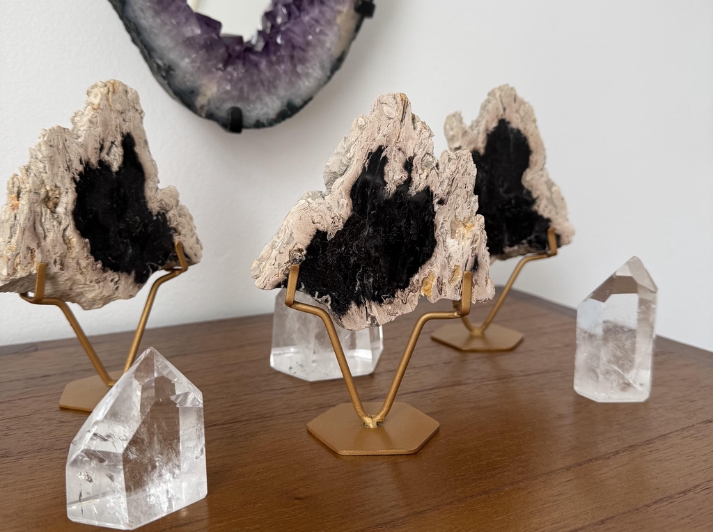 Racines de Palmier pétrifiées taillées et polies par des artisans indonésiens.