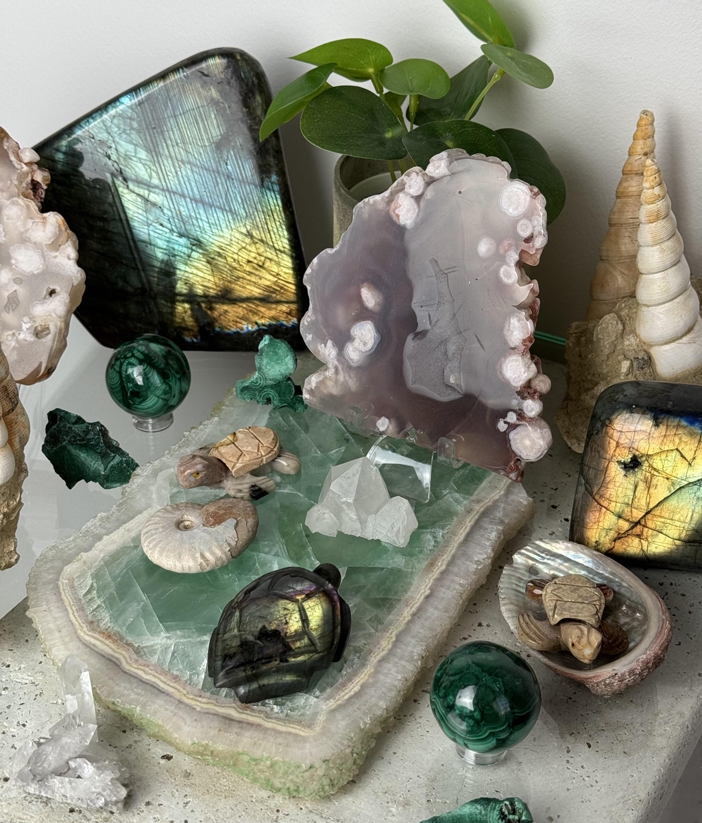 Mise en scène de pierres naturelles dans une ambiance fond marin.