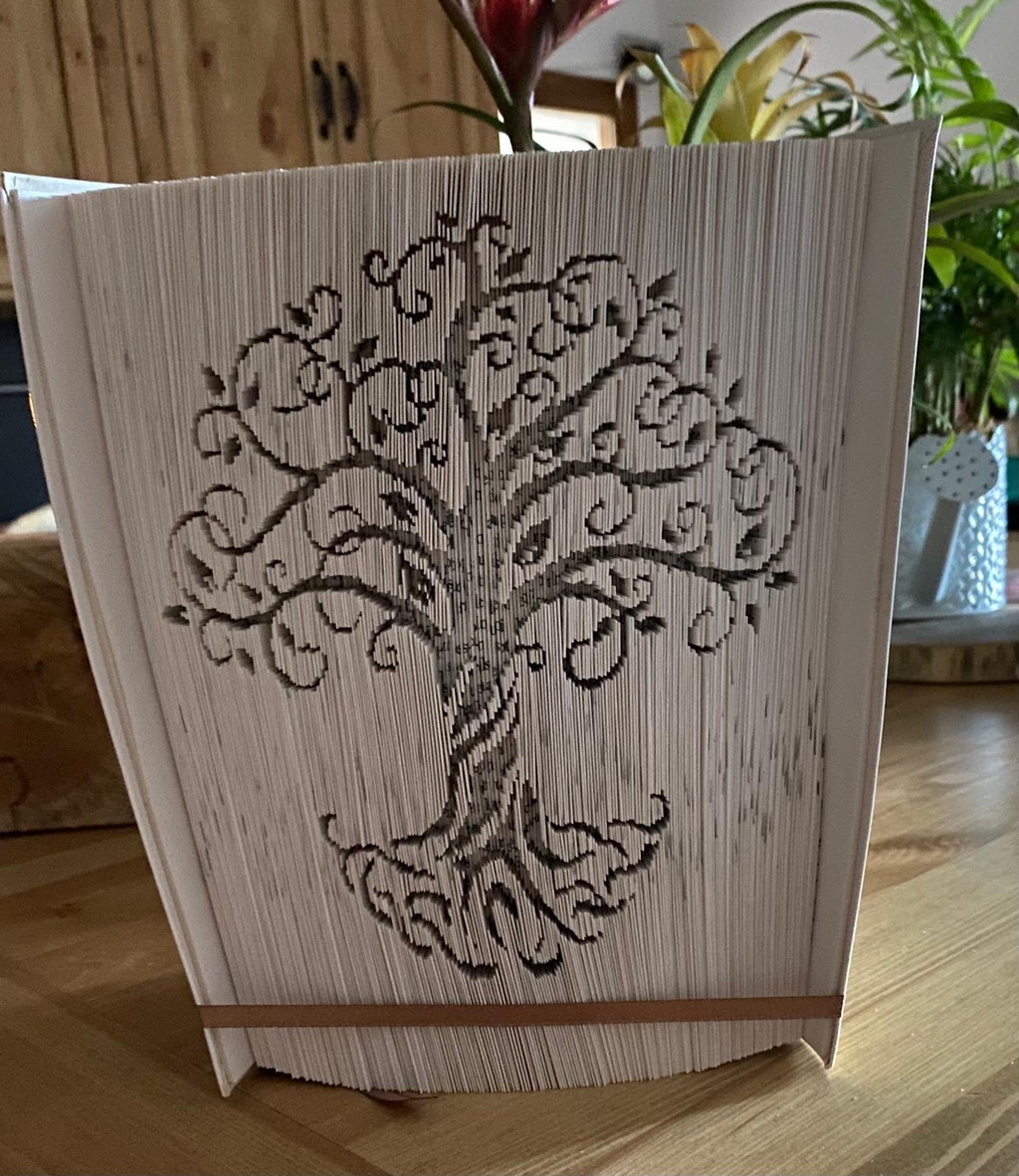 Ombres de Plis
Livres sculptés, ciselés 
Personnalisation sur demande. Le prix varie selon la photos a partir de 60 euros