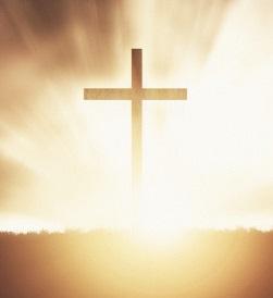 product_list_image_cover