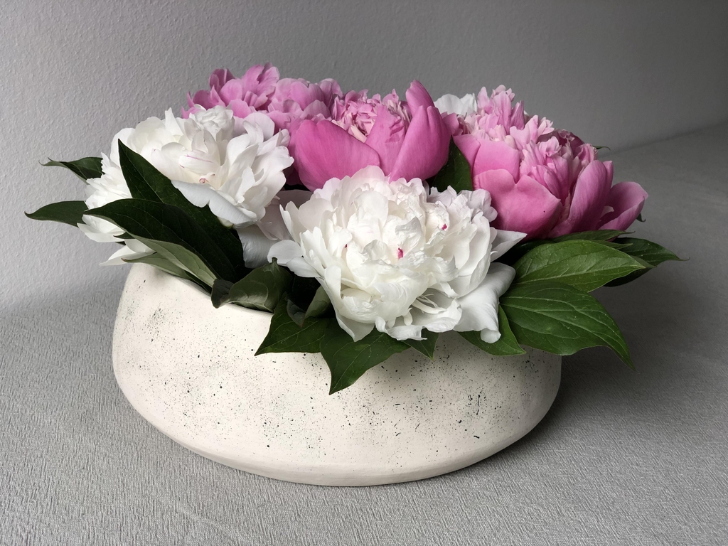 product_list_image_cover