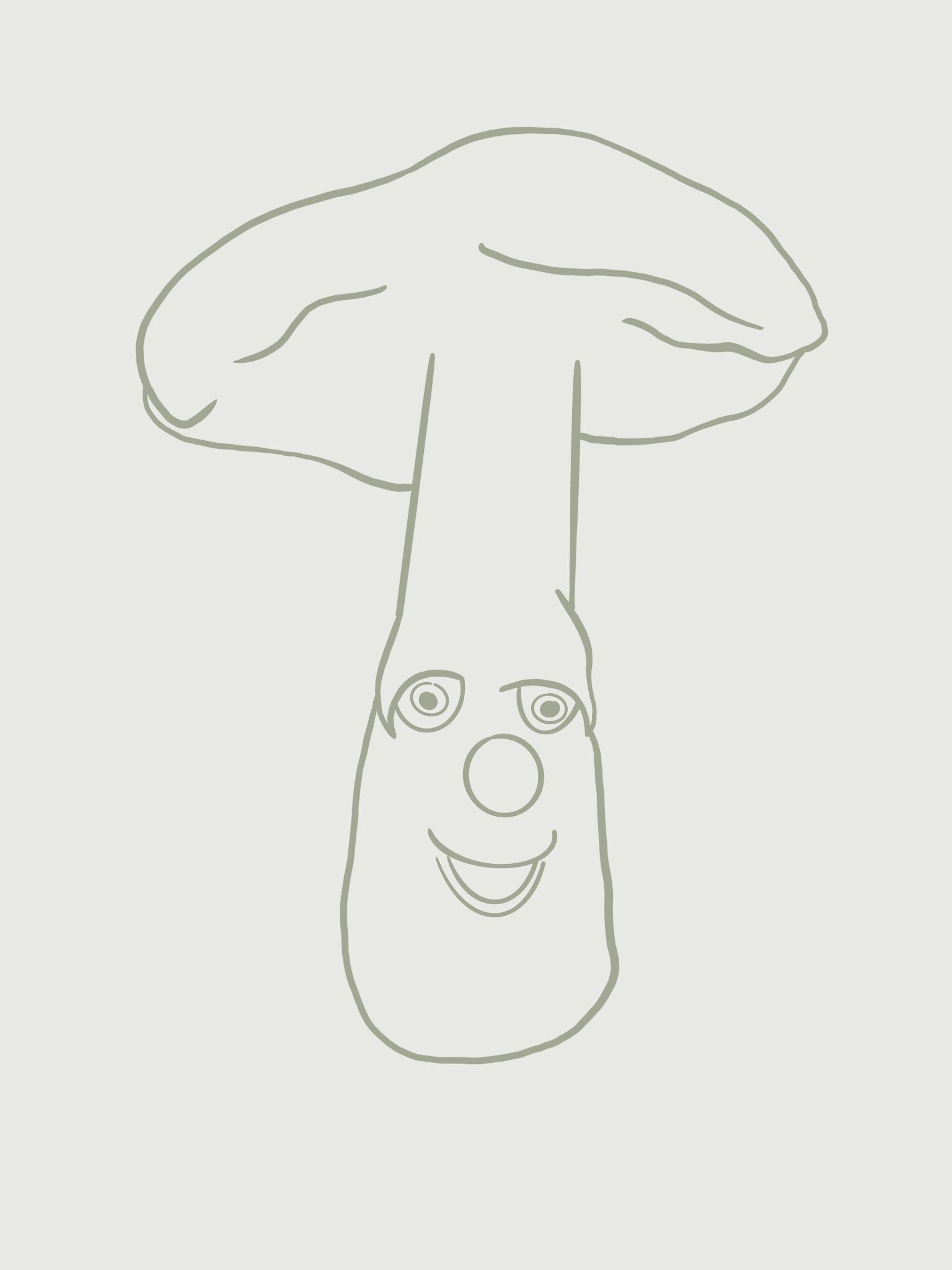 Svampe