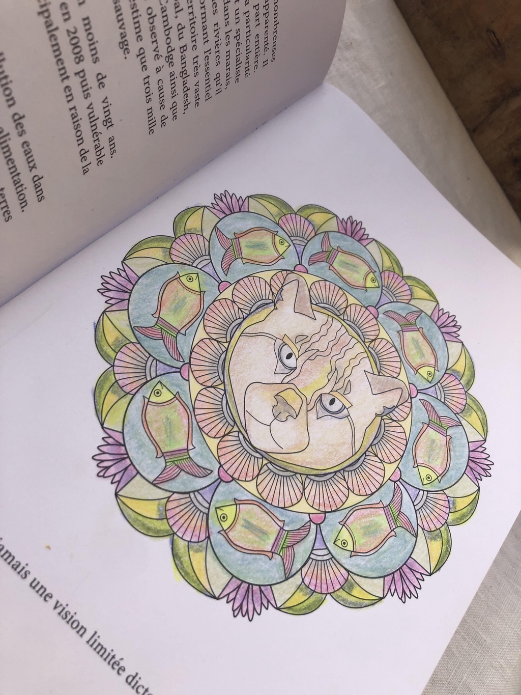 Mandala à colorier