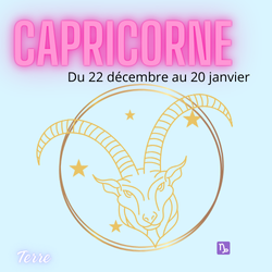 Les pierres du Capricorne