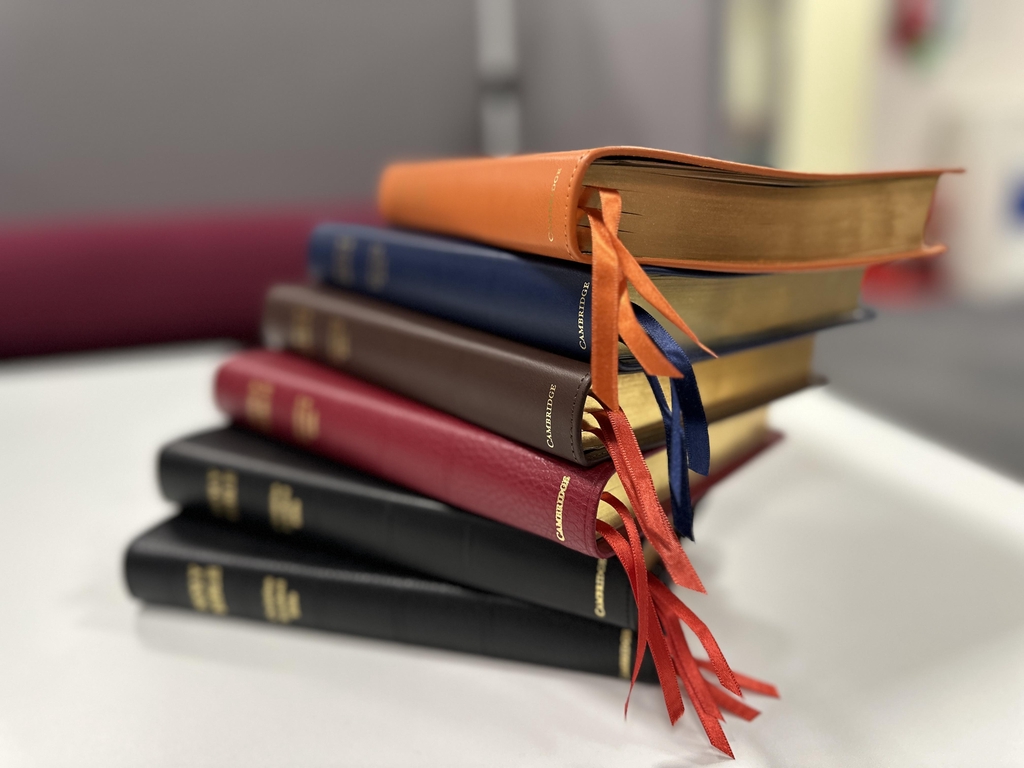 beautiful Bibles