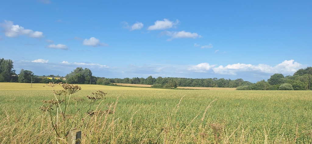 This Shop has moved over to Big Cartel