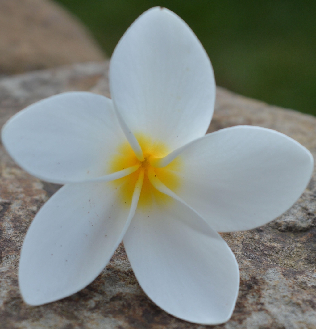 product_list_image_cover