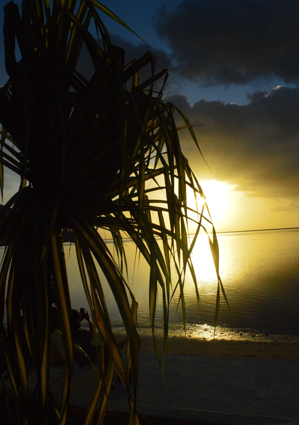 product_list_image_cover