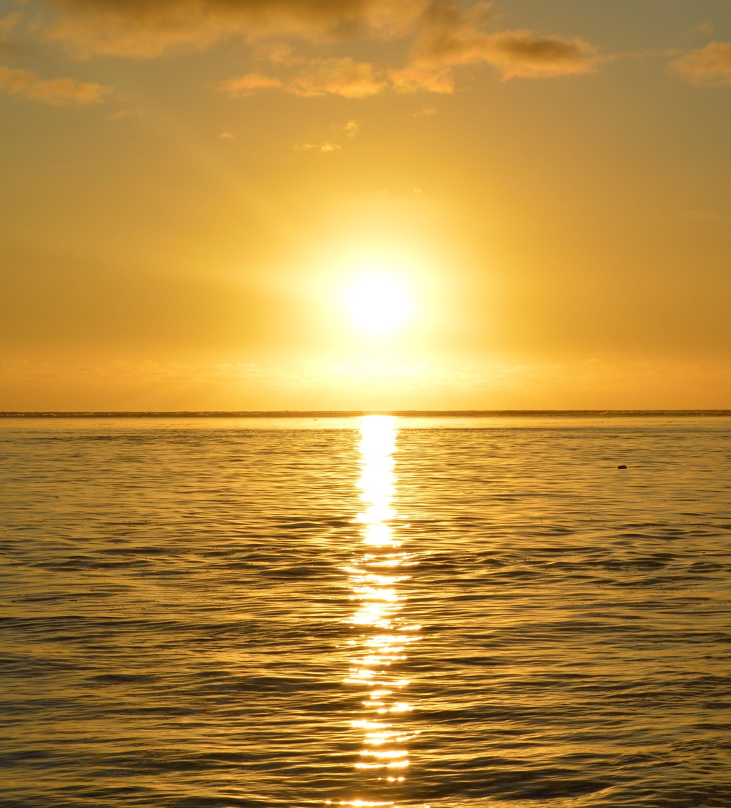 product_list_image_cover