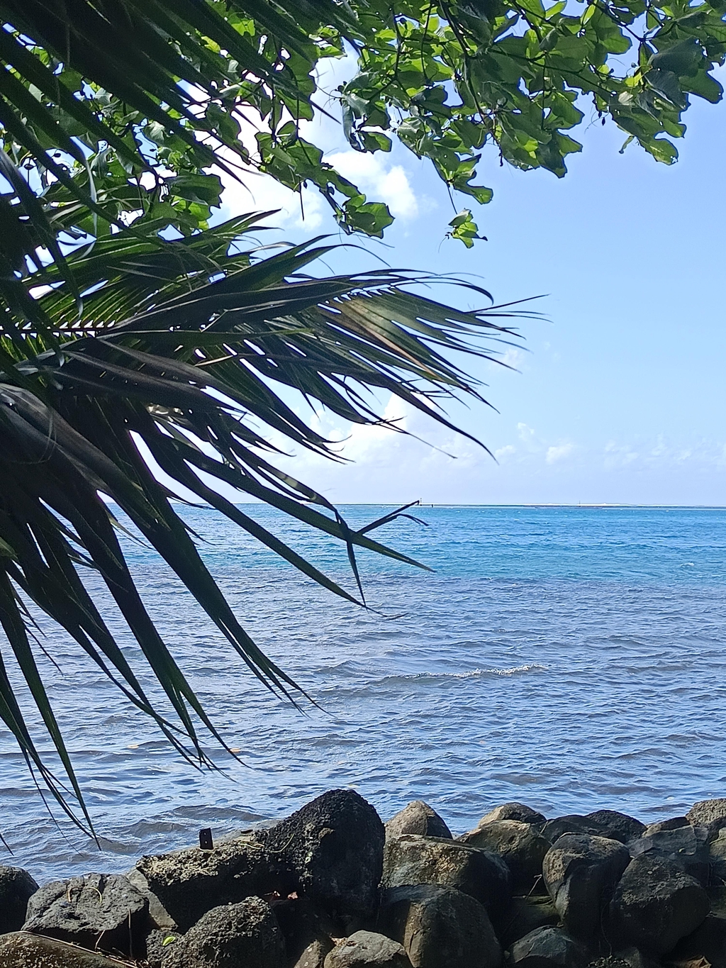 product_list_image_cover