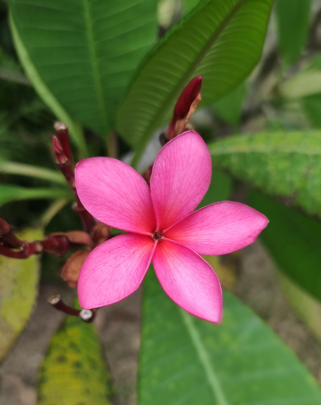 product_list_image_cover