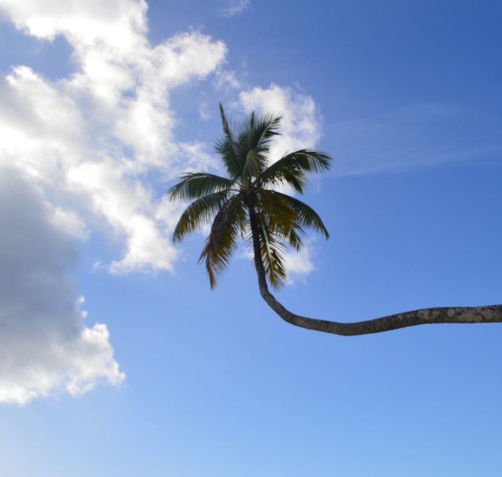 product_list_image_cover