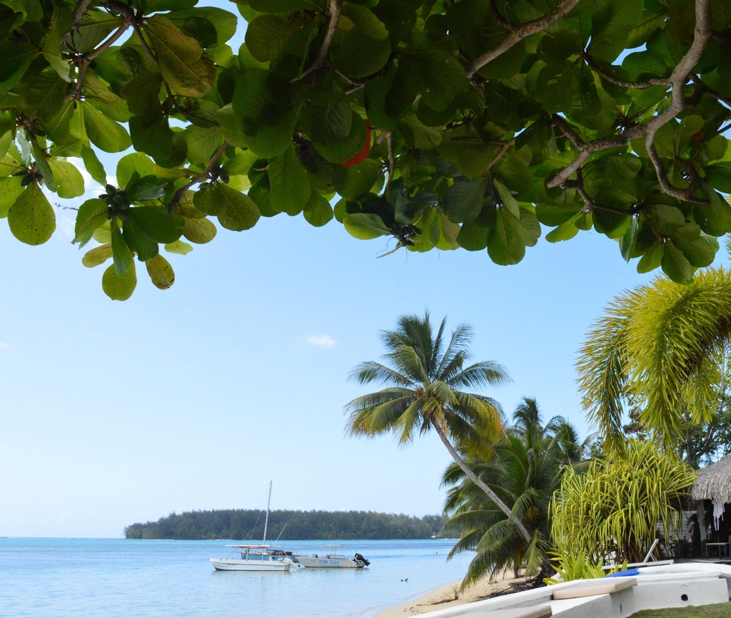 product_list_image_cover