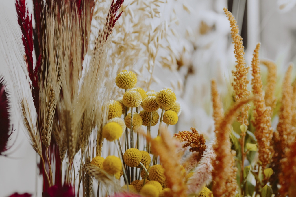 Vous trouverez chez Bouquet Nature des créations florales et bouquets de fleurs séchées originaux, authentiques et poétiques fait avec passion, amour et minutie, toujours avec une grande délicatesse. Une valeur sûre pour une décoration d'intérieur durable, un cadeau pour faire plaisir ou se faire plaisir. Effet Whaou garanti qui vous apportera une belle ambiance chaleureuse