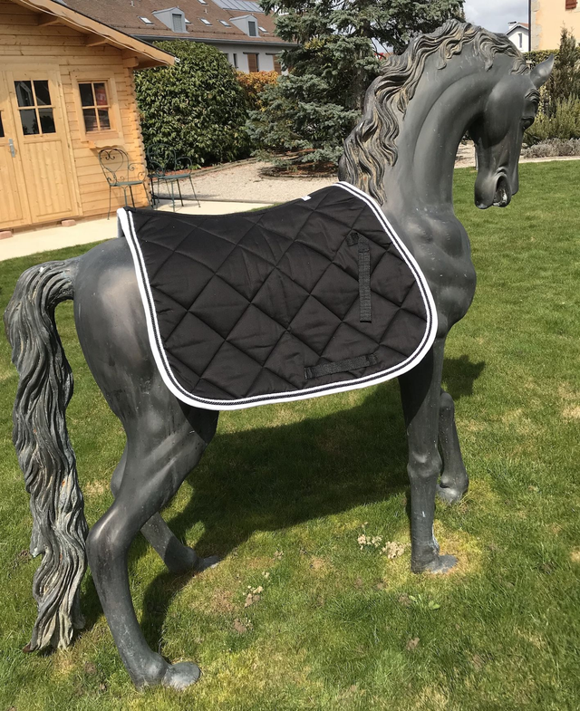 tapis de selle
