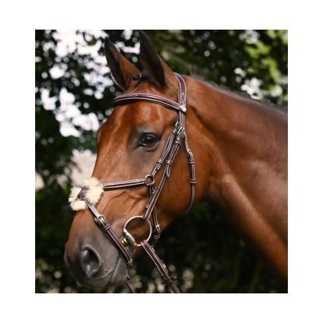 Briderie et enrênements