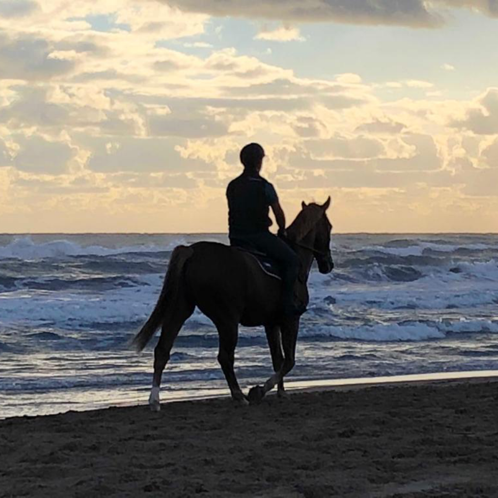 Equipement du cavalier