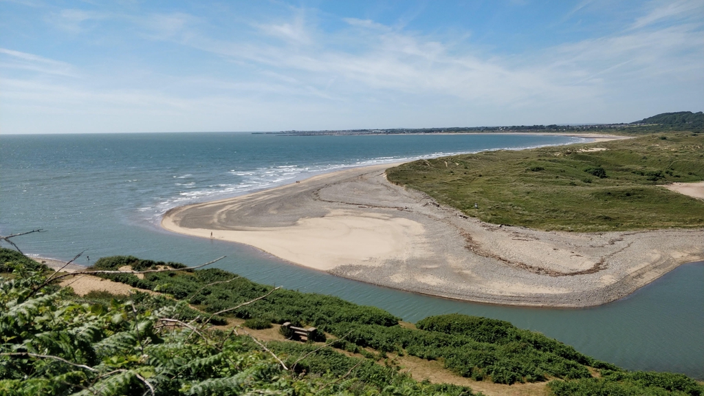 Coastal art celebrating nature