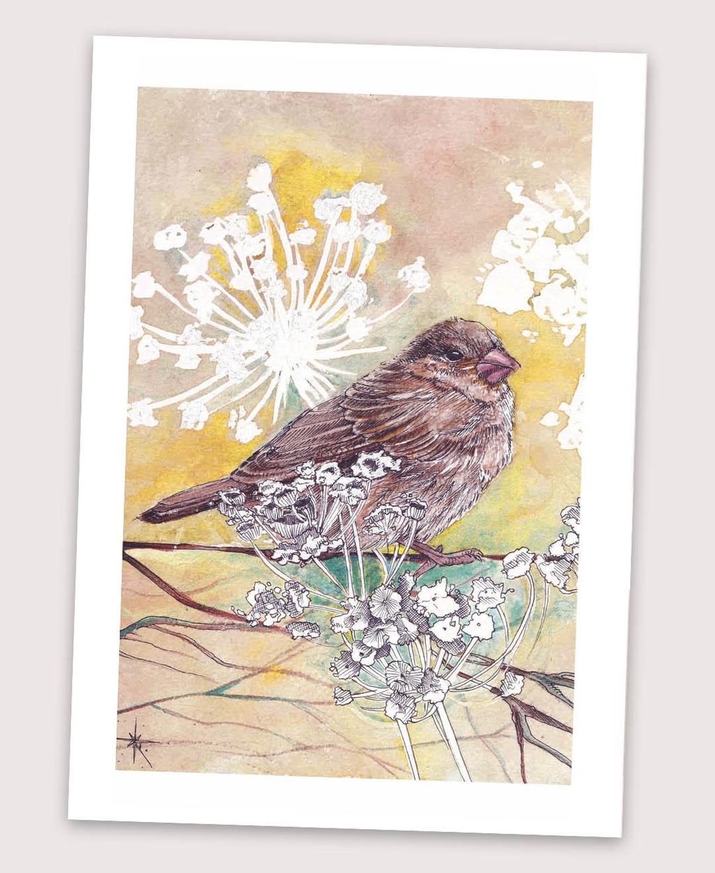 product_list_image_cover