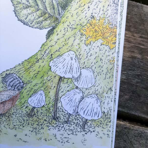 Section image