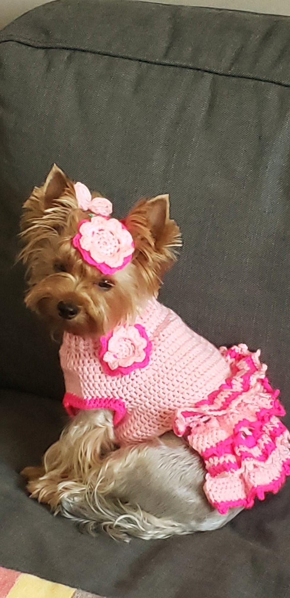 Robes au crochet fait main pour petits chiens