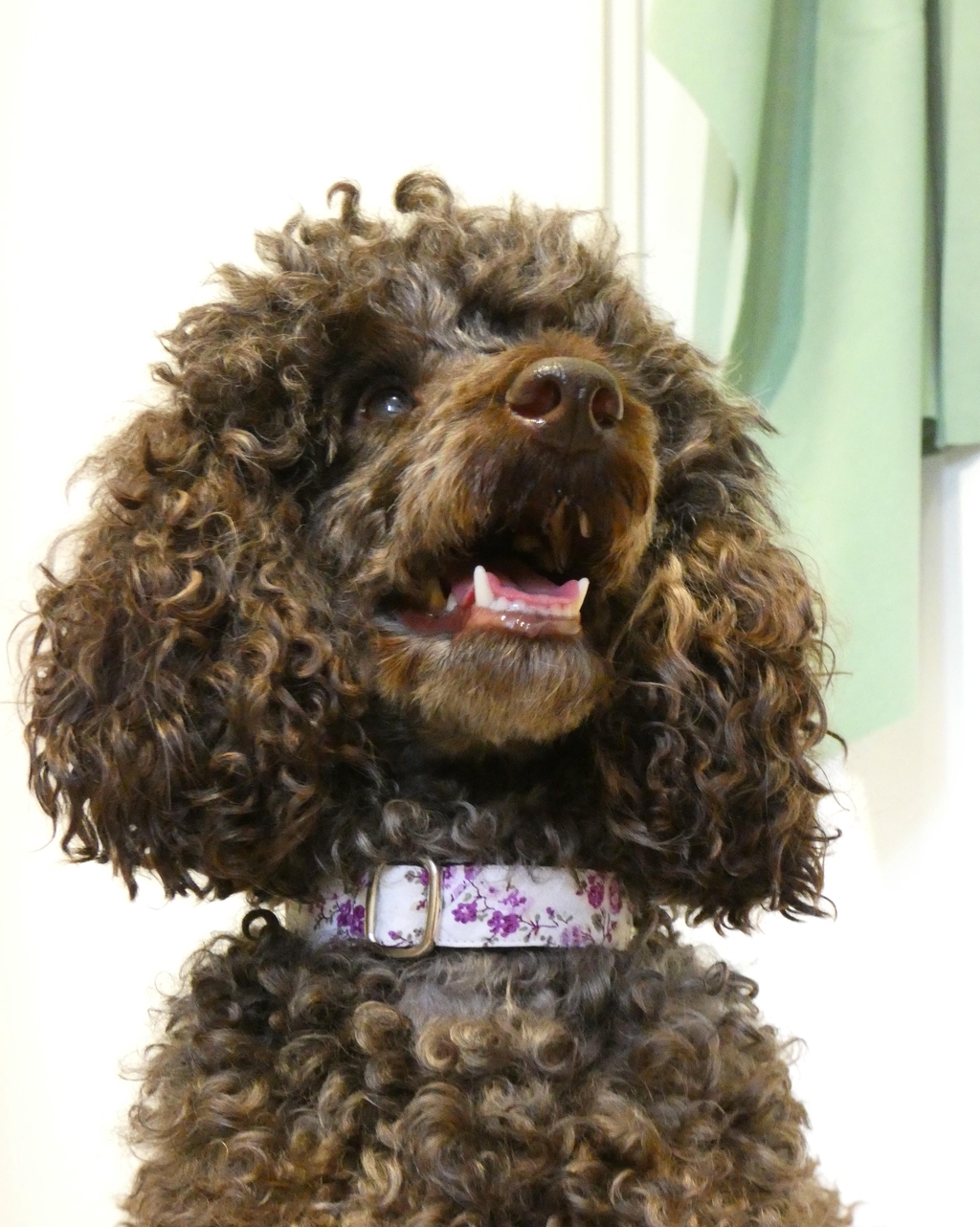 product_list_image_cover