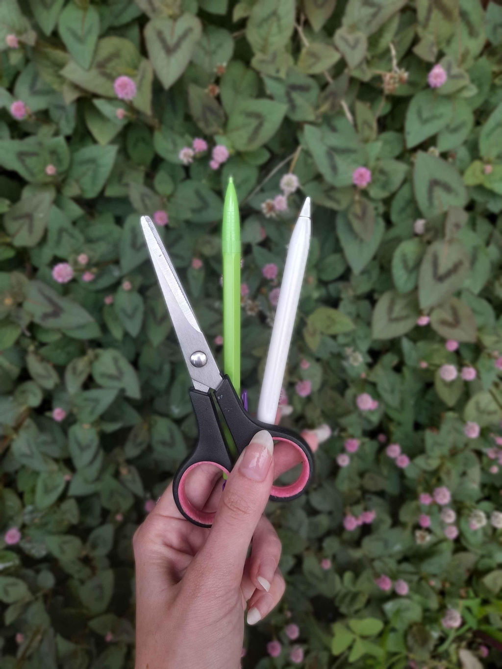 banner_image