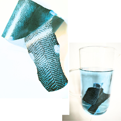 Cuir marin de saumon ictyos matière noble cuir français valorisation des déchets bio-marin économie circulaire 